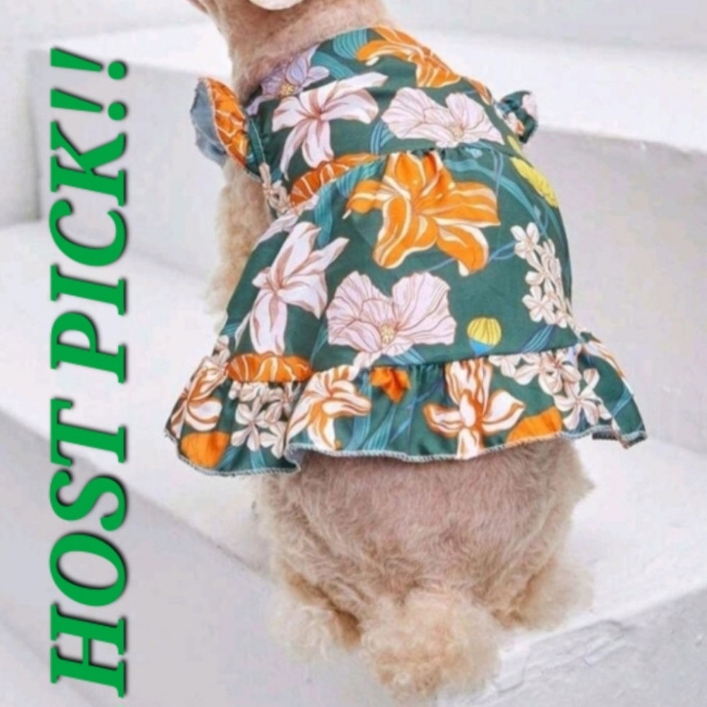 HP 🥳 Floral Dog Dress - Green and Orange 💐